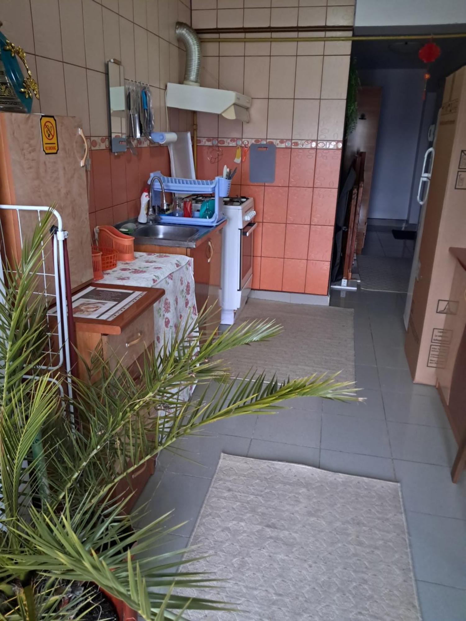 Penthouse 90mp 2 * Bucureşti